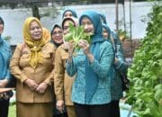 Pj Ketua TP PKK Panen Sayuran Hidroponik