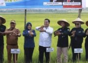 Bank Sumsel Babel Beri KUR Petani Bupati Apresiasi