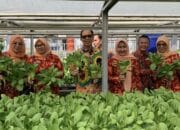 Lapas Banyuasin Panen Pakcoy Hidroponik