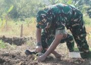 Yon Zikon 12 KJ Optimalisasi Lahan Dukung Swasembada Pangan