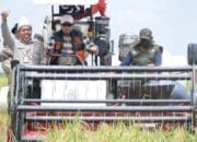 Lebih Luas Dari Indramayu Banyuasin Berpeluang Jadi Penghasil Gabah Nomor 1 di Indonesia