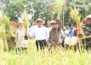 Kementan RI Apresiasi Inovasi Padi Apung dan Gerakan Sumsel Mandiri Benih