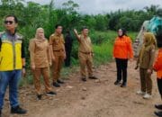 Wabub Netta Tinjau dan Monitor Pembangunan Jalan