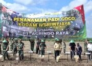 Pangdam II Sriwijaya Inisiasi Tanam Padi Gogo