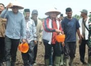 Bupati Optimis Dandim Yakin. Banyuasin Lumbung Pangan Nomor 1 Nasional