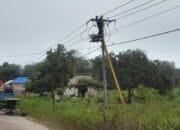 PLN ULP Kayu Agung Uprating Penyulang Tenggiri