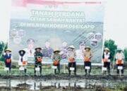 Gubernur Optimis Kabupaten Banyuasin Jadi Penghasil Gabah Nomor Satu di Indonesia