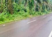 Pemkab Banyuasin Lalai. Trotoar Jalan Lingkar Banyuasin Hilang