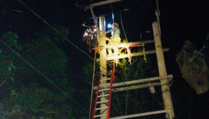PLN ULP Prabumulih Gerak Cepat Atasi Gangguan Jaringan di Penyulang Patimura