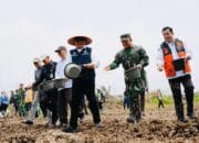 Gubernur Sumsel Dorong Penguatan Produksi Pangan di Sumsel