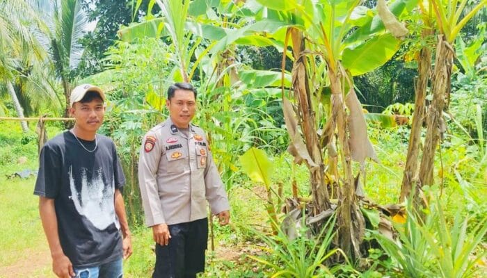 Polsek Rantau Bayur Ajak Masyarakat Dukung Swasembada Pangan Nasional