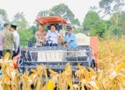 Wagub Cik Ujang Hadiri Panen Raya Jagung di OKU Selatan Diselenggarakan Polda Sumsel