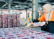 Kepedulian PLN UID S2JB Dengan Kurban untuk Masyarakat Sekitar