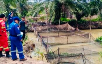 Medco EP Grissik Dukung Budidaya Lele Dorong Kemandirian Ekonomi Masyarakat