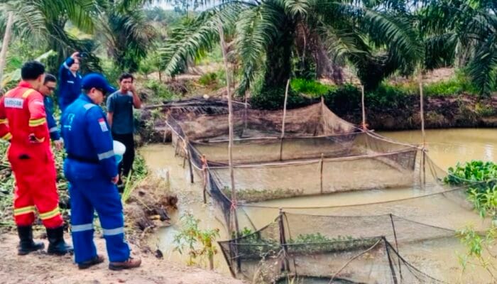 Medco EP Grissik Dukung Budidaya Lele Dorong Kemandirian Ekonomi Masyarakat