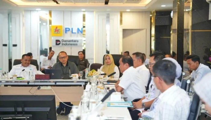 PLN S2JB Percepat Perizinan Listrik Desa di Kawasan Hutan Kolaborasi Kemenhut dan Pemprov Sumsel