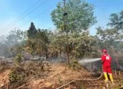 Pertamina Bersama Warga Padamkan Karhutla di Sekitar Wilayah Operasi