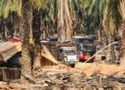 Kapolres Muba Ajak Gegana Cek Sumur Minyak Rakyat Selidiki Beking (Katanya Orangnya Kapolda)