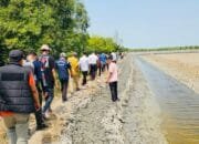 PLN S2JB Survei Persiapan PLTS Komunal 12 Desa di Sumsel
