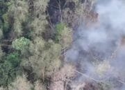 Karhutla Sumsel Makin Parah, WALHI Temukan 10.411 Hotspot di Konsesi 18 Perusahaan