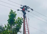 Perkuat Keandalan Jaringan Listrik Dengan Cegah Gangguan Sejak Dini