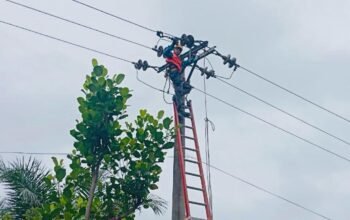 Perkuat Keandalan Jaringan Listrik Dengan Cegah Gangguan Sejak Dini