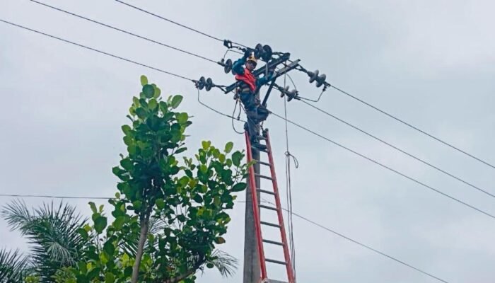 Perkuat Keandalan Jaringan Listrik Dengan Cegah Gangguan Sejak Dini