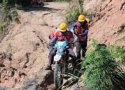 HLN ke-81 PLN Perkuat Peran Listrik sebagai Penggerak Kehidupan dan Kemandirian Bangsa